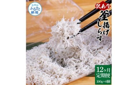 〈12ヶ月定期便〉訳あり 釜揚げシラス 100g×6個 定期便 定期コース 12ヶ月 しらす シラス 釜揚げ 新鮮 塩分控えめ 離乳食 わけあり ワケあり 不揃い しらす丼 海鮮丼 お茶漬け - 100g×6P　12ヶ月定期便