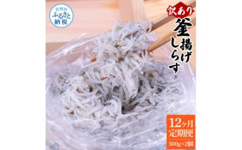 〈12ヶ月定期便〉訳あり 釜揚げシラス 500g×2個 定期便 定期コース 12ヶ月 しらす シラス 釜揚げ 新鮮 塩分控えめ 離乳食 わけあり ワケあり 不揃い しらす丼 海鮮丼 お茶漬け - 500g×2P　12ヶ月定期便