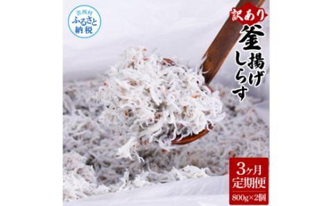 〈3ヶ月定期便〉訳あり 釜揚げシラス 800g×2個 定期便 定期コース 3ヶ月 しらす シラス 釜揚げ 新鮮 塩分控えめ 離乳食 わけあり ワケあり 不揃い しらす丼 海鮮丼 お茶漬け - 800g×2P　3ヶ月定期便