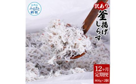 〈12ヶ月定期便〉訳あり 釜揚げシラス 800g×2個 定期便 定期コース 12ヶ月 しらす シラス 釜揚げ 新鮮 塩分控えめ 離乳食 わけあり ワケあり 不揃い しらす丼 海鮮丼 お茶漬け - 800g×2P　12ヶ月定期便