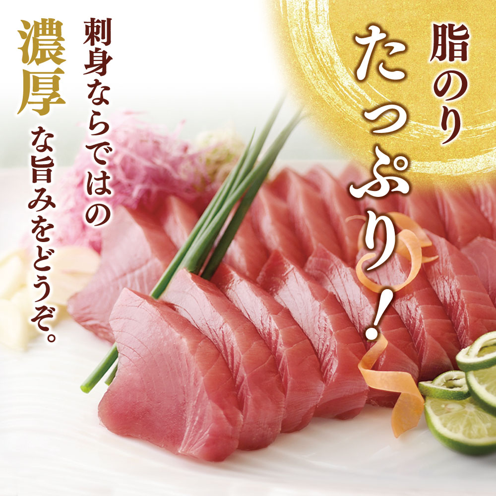 “土佐料理司”一本釣りとろ鰹の刺身セット／モチモチの食感に、脂が乗った濃厚なうまみが広がり、最後はスッととろけるような口どけ。美食家の舌もとろけさす「とろ鰹の刺身」。故郷納税 2023 ギフト プレゼント 海鮮 グルメ 惣菜 食べ物