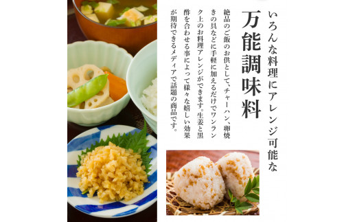 味付け極しょうが110g×1袋 - しょうが ショウガ 生姜 生ふりかけ 坂田信夫商店 黄金しょうが 高知 国産 料理 おかず 調味料 ご飯のお供 混ぜご飯 刻み生姜 話題