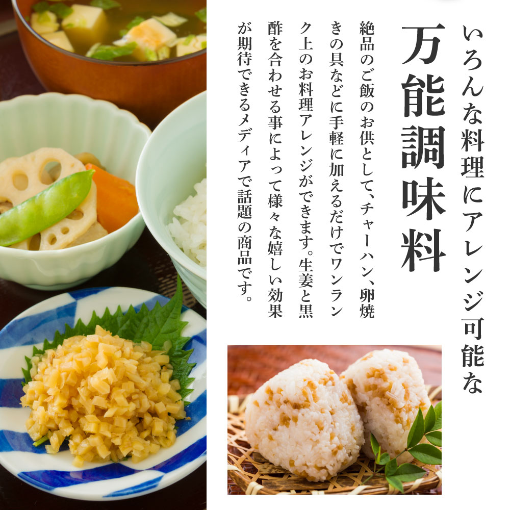 減塩味付け極しょうが110g×5袋 - 減塩 しょうが ショウガ 生姜 生ふりかけ 坂田信夫商店 黄金しょうが 高知 国産 料理 おかず 調味料 ご飯のお供 混ぜご飯 刻み生姜 健康 話題