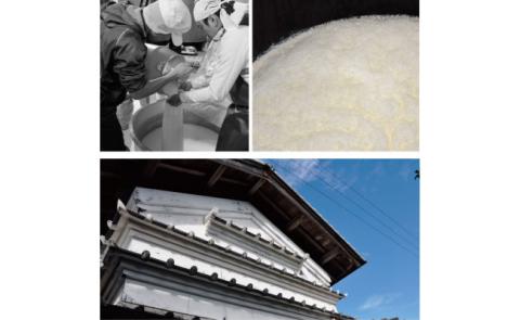 土佐しらぎく 純米吟醸 高育酒80号 720ml 1本＜高知 芸西村 仙頭酒造場 酒 日本酒 土佐 しらぎく＞