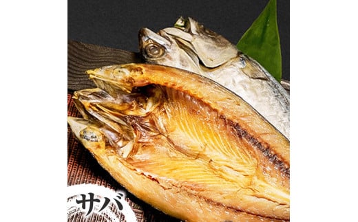 干物セット アジ・サバ・カマス 各2枚 計6枚 ひもの あじ さば かます セット 詰め合わせ 鯵 鯖 魚 魚介類 水産加工品 天日干し おかず 惣菜 お取り寄せ 美味しい 国産