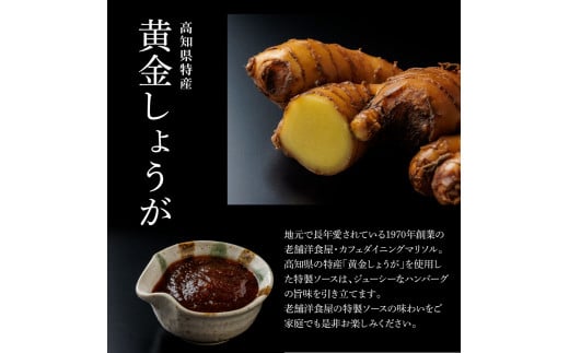 1/1～寄附額変更 食べ比べ！老舗レストランの国産牛・美鮮豚ハンバーグ130g×12ケ＋ソース3種各2袋 ハンバーグ セット 22000円 トマトソース デミグラス 牛肉 豚肉 和牛 美味しい おいしい 小分けパック 個包装 冷凍 故郷納税