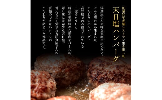 1/1～寄附額変更 食べ比べ！天日塩ハンバーグ3種セット各2個(110g×3種) 合計6個 ハンバーグ 黒毛和牛 美鮮豚 天然塩 天日塩 デミグラスソース 和風ソース ソース付き 牛肉 豚肉 温めるだけ 冷凍 配送 国産 故郷納税