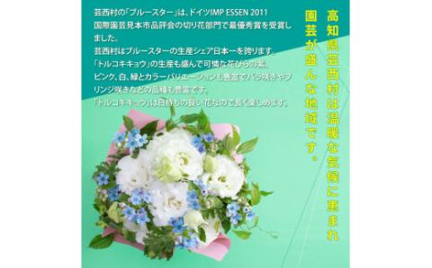 《先行予約》芸西村のお花を使ったアレンジメント（小）