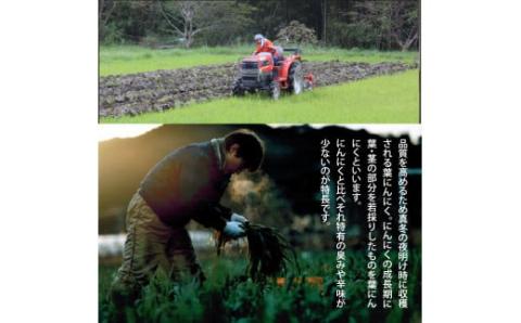 緊急支援 人気海鮮 芸西村厳選1本釣り本わら焼き「芸西村本気の極カツオのたたき（3～4人前）有名番組で紹介の有機無添加土佐にんにくぬた・タレ付き」高知県共通返礼品 かつお タタキ 海鮮 藁焼き 鰹 塩 ランキング 食べて応援 - 3～4人前