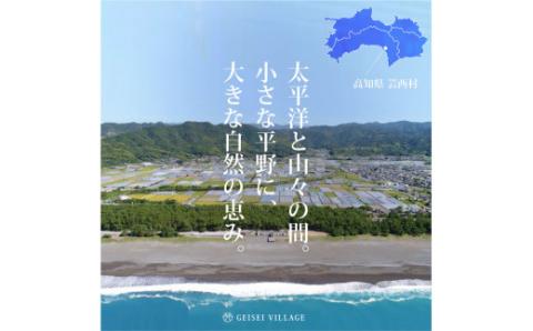 12/21までに入金で年内配送 新米 コシヒカリ 15kg (5kg×3袋) 芸西米 げいせいまい 令和7年産 15キロ 米 こめ コメ こしひかり 精米 白米 お米 おこめ ご飯 国産 通販 お取り寄せ 送料無料