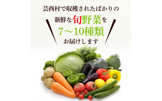 【先行予約】どっさり！新鮮野菜の詰合せ 7～10種類 ピーマン 茄子 なす ナス おまかせ 特産品 野菜 やさい 野菜セット おかず 健康 新鮮 詰め合わせ お楽しみ お取り寄せ 通販