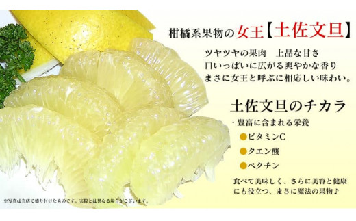 【先行予約】“高知県産”ワケあり土佐文旦（※シミ・キズあり）5kg・サイズおまかせ