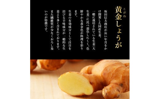 高知県産黄金しょうが4kg - しょうが ショウガ 生姜 坂田信夫商店 黄金しょうが 高知 国産 生姜焼き しょうが湯 ふるさとのうぜい 故郷納税 13000円 返礼品 高知県産