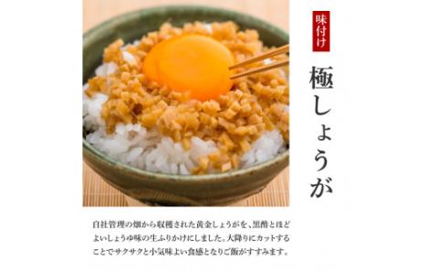 味付け極しょうが110g×10袋 - しょうが ショウガ 生姜 生ふりかけ 坂田信夫商店 黄金しょうが 高知 国産 料理 おかず 調味料 ご飯のお供 混ぜご飯 刻み生姜 話題