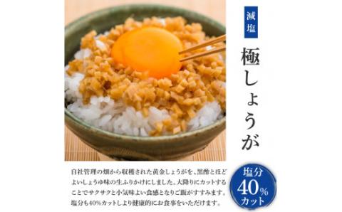 減塩味付け極しょうが110g×10袋 - 減塩 しょうが ショウガ 生姜 生ふりかけ 坂田信夫商店 黄金しょうが 高知 国産 料理 おかず 調味料 ご飯のお供 混ぜご飯 刻み生姜 健康 話題