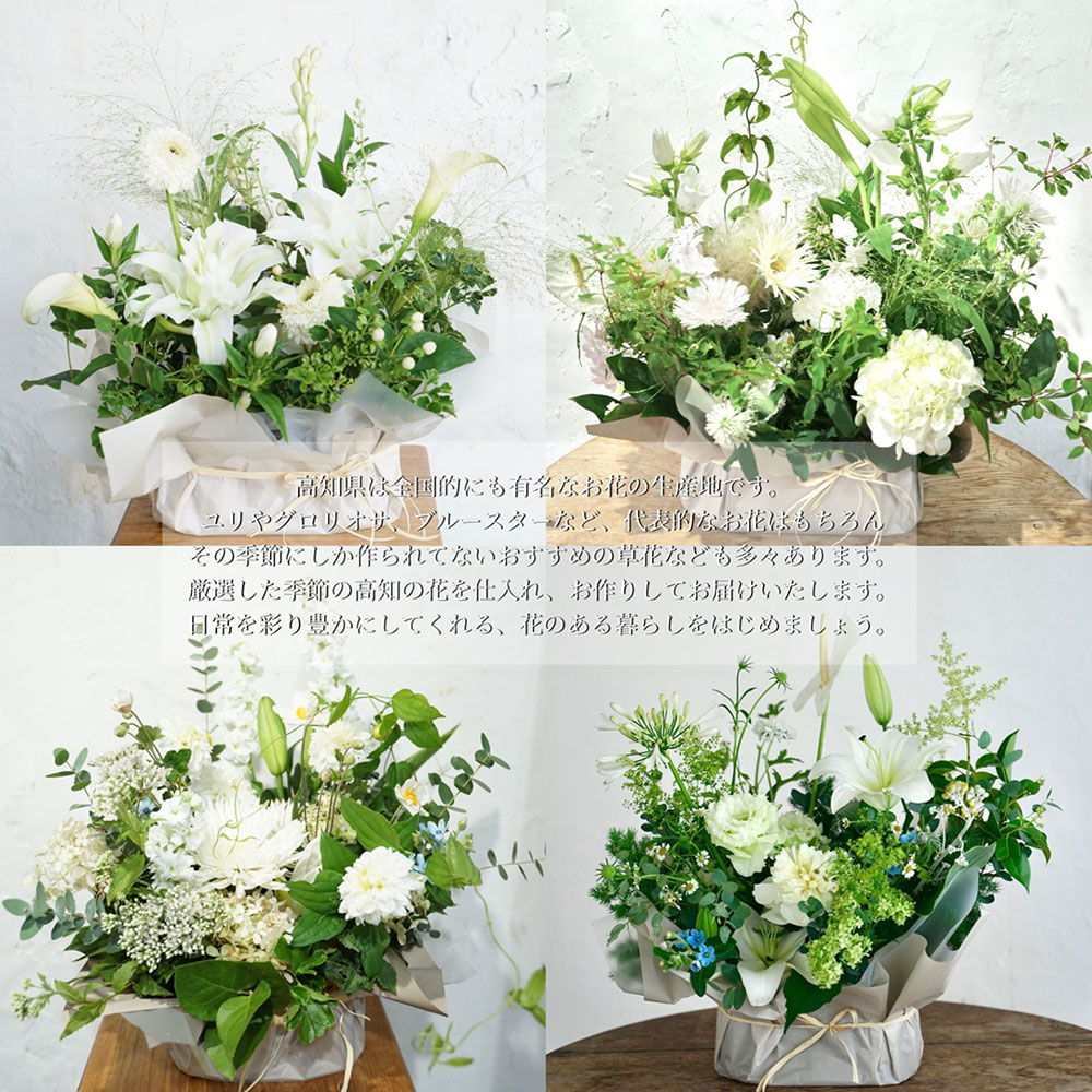 《6ヵ月定期便》生花アレンジ お供え 供花L 定期便 定期コース 全6回 フラワーアレンジメント そのまま飾れる お供え 花束 生花 仏花 供花 花束 はな 花 法要 お盆 お花 おすすめ