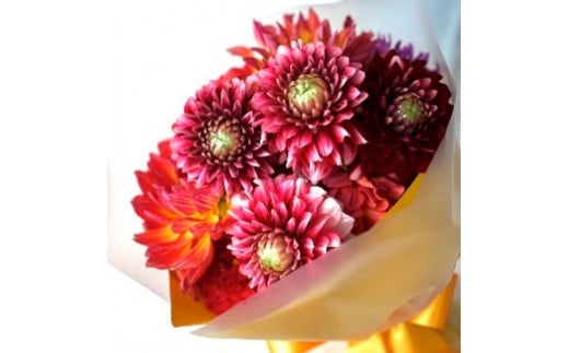 《3ヵ月定期便》 ダリア 花束 初回花瓶付 定期便 定期コース 全3回 延命剤付き ラッピング 花びん 生花 花束 ブーケ 花 お花 おすすめ 可愛い キレイ おしゃれ 自宅 職場 ギフト