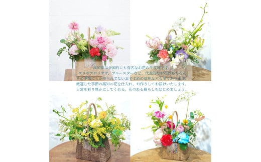 《6ヵ月定期便》季節の生花バスケットフラワーM バスケット 紙バンドバスケット フラワーバスケット 季節 手作り ハンドメイド ブルースター トルコギキョウ お取り寄せ 生花 プレゼント 贈り物