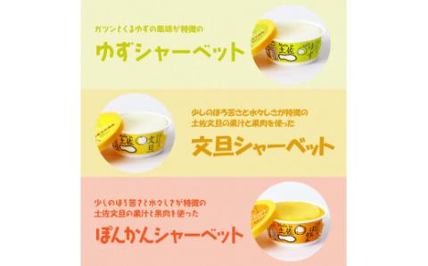 おいしいんだもの 高知アイスセット／高知の素材にこだわった人気アイスのアソートセットです。故郷納税 11000円 2022 食べ物 ギフト 詰め合わせ シャーベット スイーツ お菓子 プレゼント 濃厚 バニラ アイスクリーム 塩 いちご 苺 お茶 文旦 ゆず