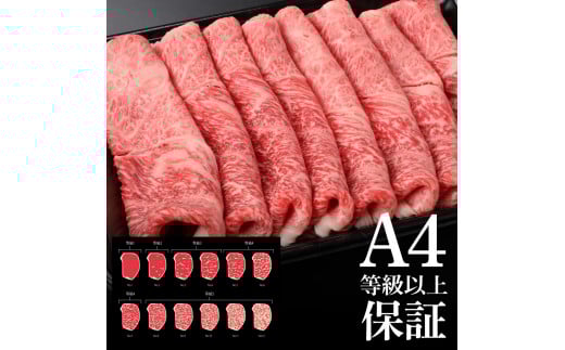 土佐和牛霜降りスライス(うで)450g 牛肉 肉 お肉 和牛 国産 牛 ウデ肉 スライス A5 最高級 特選 霜降り 国産 豪華 贅沢 美味しい おいしい 柔らかい 肉汁 すき焼き しゃぶしゃぶ