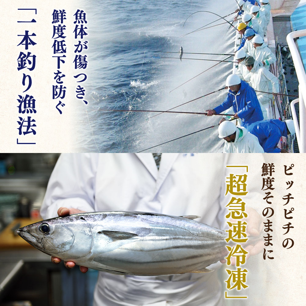 “土佐料理司”一本釣りとろ鰹の刺身セット／モチモチの食感に、脂が乗った濃厚なうまみが広がり、最後はスッととろけるような口どけ。美食家の舌もとろけさす「とろ鰹の刺身」。故郷納税 2023 ギフト プレゼント 海鮮 グルメ 惣菜 食べ物