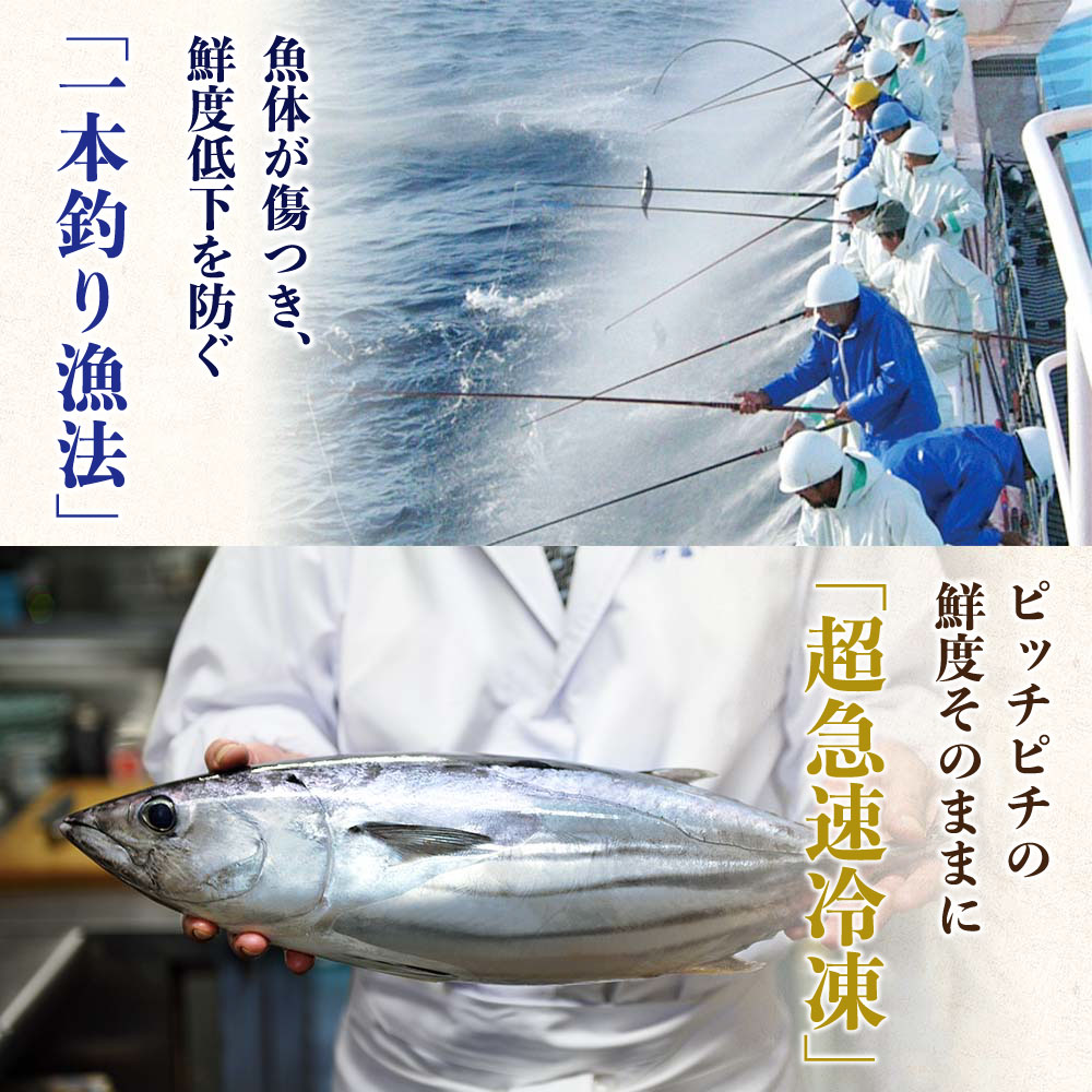 “土佐料理司”一本釣りとろ鰹の刺身・鰹たたきセット／鰹のたたきと刺身、うまさの競演。刺身もたたきも両方味わいたいという声にお応えして、セットもご用意しました。かつお 故郷納税 2022 ギフト プレゼント 海鮮 グルメ 惣菜 食べ物