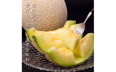 緊急支援　高知県産 最高級マスクメロン＆小玉スイカセット〈南国市共通返礼品〉　【発送期間：4月～12月（9カ月）】【1月～3月は気候温度不安定の為出荷不可となります。】