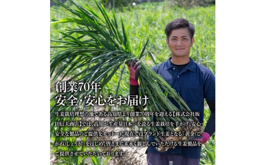 減塩味付け極しょうが110g×5袋 - 減塩 しょうが ショウガ 生姜 生ふりかけ 坂田信夫商店 黄金しょうが 高知 国産 料理 おかず 調味料 ご飯のお供 混ぜご飯 刻み生姜 健康 話題