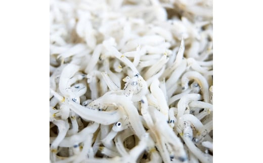 釜あげちりめん丼セット 80g×6P 6食分 タレ・薬味付き シラス おじゃこ ちりめんじゃこ ふわふわ 国産 釜揚げ しらす丼 海鮮丼 ごはん ご飯 おつまみ セット お取り寄せ 美味しい 贈り物 ギフト - 80g×6