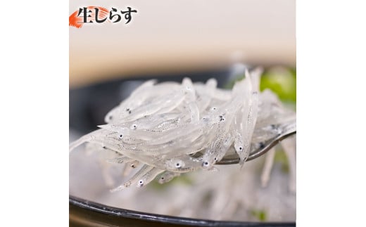 おじゃこ食べ比べセット ゆず酢・タレ付き シラス 小分け じゃこ ちりめんじゃこ ふわふわ 国産 釜揚げ かちりじゃこ しらす丼 海鮮丼 ごはん ご飯 おにぎり おかず お取り寄せ 美味しい