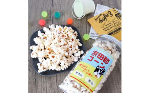 犬用おやつポップコーン 3種セット 犬用 ポップコーン おやつ チーズ味 宗田節味 鹿肉味 ヘルシー 飼い主さんも食べられる緩衝材ポップコーン付 ポップコーン 犬 いぬ 犬用おやつ 無添加 国産