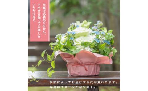 《先行予約》芸西村のお花を使ったアレンジメント（小）