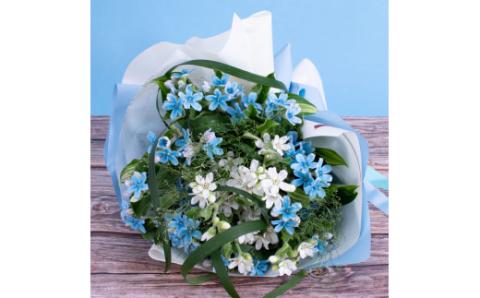 《先行予約》芸西村特産ブルースター花束（約15本程度の花束）
