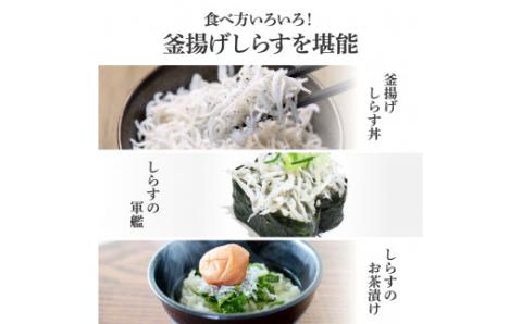 高知県産釜揚げしらす（50g×17パック）シラス 小分け 国産 無添加 釜揚げ しらす丼 海鮮丼 ゆずつき お茶漬け ごはん 軍艦巻き 寿司 17人前 大容量 冷凍 高知県 返礼品 13000円 - 50g×17