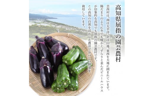 【先行予約】どっさり！新鮮野菜の詰合せ 7～10種類 ピーマン 茄子 なす ナス おまかせ 特産品 野菜 やさい 野菜セット おかず 健康 新鮮 詰め合わせ お楽しみ お取り寄せ 通販