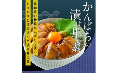 海鮮  支援 訳ありかつおたたき1節＋かんぱち漬け丼の素1食 冷凍 保存食 小分け 惣菜 そうざい パック 漬け 本場 高知 海鮮丼 パパッと 簡単 一人暮らし 人気 6000円 〈高知市共通返礼品〉