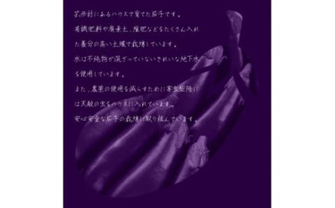 【先行予約】茄子（1本約70g）約20本入り - 高知県産 芸西村 ナス なす 野菜 新鮮 お取り寄せ 美味しい 煮浸し 味噌汁 麻婆茄子 料理 ふるさとのうぜい 故郷納税 6000円 返礼品 高知県 高知