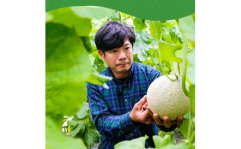 “高知県産”高級マスクメロン（ご家庭用）2玉入【発送期間：4月～12月（9カ月）】【1月～3月は気候温度不安定の為出荷不可となります。】