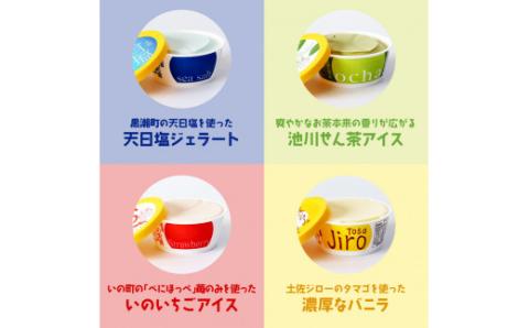 おいしいんだもの 高知アイスセット／高知の素材にこだわった人気アイスのアソートセットです。故郷納税 11000円 2022 食べ物 ギフト 詰め合わせ シャーベット スイーツ お菓子 プレゼント 濃厚 バニラ アイスクリーム 塩 いちご 苺 お茶 文旦 ゆず