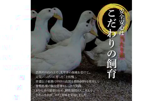 土佐鴨ロース・モモ肉 約1.8kg 鴨肉 国産 カモ肉 かも カモ ロース もも肉 1.8キロ ブロック 鴨鍋 焼肉 唐揚げ 食品 鶏肉 おいしい 惣菜 おかず お取り寄せ