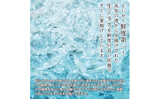 訳あり釜揚げシラス300g 高知県産 釜揚げしらす 簡易梱包 わけあり 不揃い シラス 国産 釜揚げ 新鮮 しらす丼 海鮮丼 お茶漬け 冷凍配送 塩分控えめ お取り寄せ - 300g