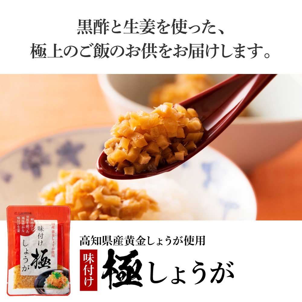 味付け極しょうが110g×1袋 - しょうが ショウガ 生姜 生ふりかけ 坂田信夫商店 黄金しょうが 高知 国産 料理 おかず 調味料 ご飯のお供 混ぜご飯 刻み生姜 話題