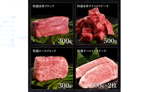 土佐あか牛協会が認定する「土佐熟成あかうし」8種（合計3.3kg）サイコロステーキ ロース カルビ スネ ヒレ サーロイン ブロック肉 特選 赤身 牛 牛肉 和牛 国産 天下味 エイジング工法 熟成肉 お取り寄せ
