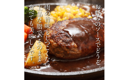 1/1～寄附額変更 創業50年老舗レストランの幻の和牛あかうしハンバーグ130g×5コ（ソース無し）人気惣菜 数量限定 牛肉 豚肉 故郷納税 10000円 焼くだけ 溢れる肉汁 土佐あか牛 ハンバーグ 小分け 緊急支援品