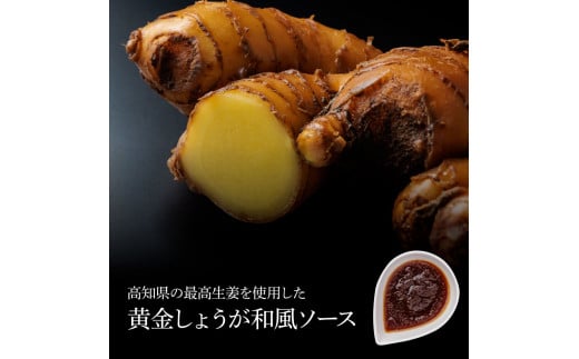 1/1～寄附額変更 食べ比べ！天日塩ハンバーグ3種セット各4個(110g×3種) 合計12個 ハンバーグ 黒毛和牛 美鮮豚 天然塩 天日塩 デミグラスソース 和風ソース ソース付き 牛肉 豚肉 温めるだけ 冷凍 配送 国産 故郷納税