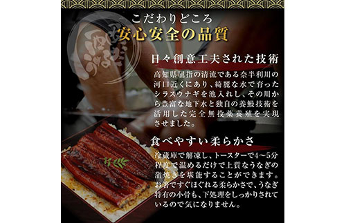 本気の高知ブランド鰻「西岡うなぎ」～大サイズ～うなぎの蒲焼き2尾セット（約330g）・タレ山椒付き
