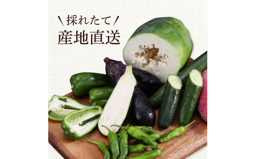 【先行予約】どっさり！新鮮野菜の詰合せ 7～10種類 ピーマン 茄子 なす ナス おまかせ 特産品 野菜 やさい 野菜セット おかず 健康 新鮮 詰め合わせ お楽しみ お取り寄せ 通販