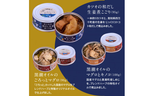グルメ缶詰12缶セット〈黒潮町共通返礼品〉防災 故郷納税 缶詰 食べくらべ 詰め合わせ 魚 国産 - 12種