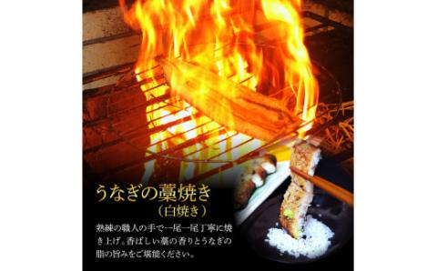うなぎ蒲焼き 3尾 + 藁焼き(白焼き)3尾 6尾セット 1尾約140g タレ付き うなぎ 鰻 ウナギ 蒲焼き かば焼き わら焼き 天日塩付き ポン酢付き 養殖 国産 お取り寄せ 冷凍 配送