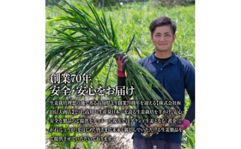 味付け極しょうが110g×10袋 - しょうが ショウガ 生姜 生ふりかけ 坂田信夫商店 黄金しょうが 高知 国産 料理 おかず 調味料 ご飯のお供 混ぜご飯 刻み生姜 話題